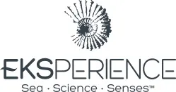 logo-eksperience